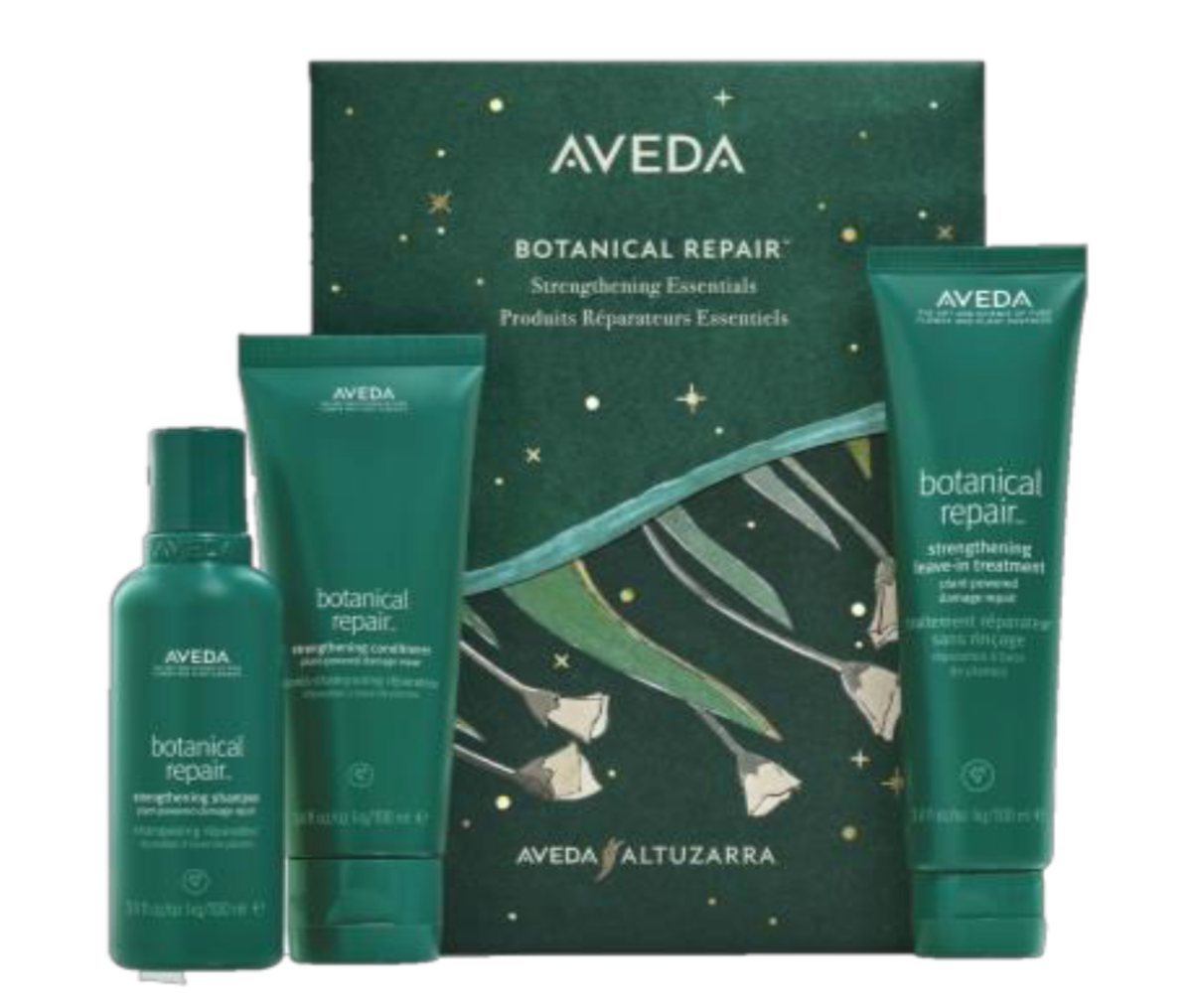 Aveda Botanical Repair Strengthening Essentials