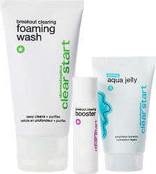 Dermalogica Clearly Matte Skin Kit